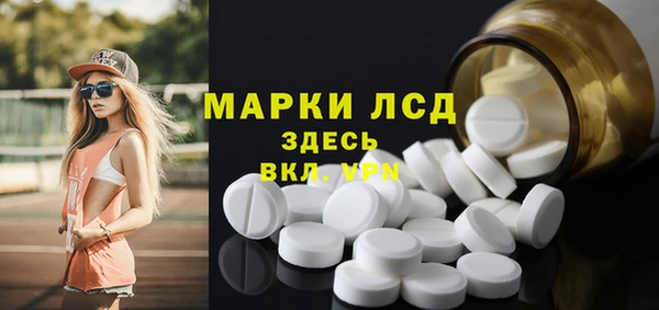 гидра Алексин