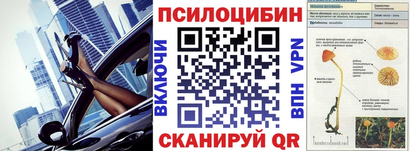 где продают   Сунжа  Псилоцибиновые грибы Magic Shrooms 