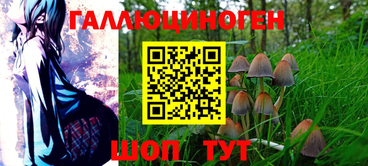 Галлюциногенные грибы Cubensis Сунжа
