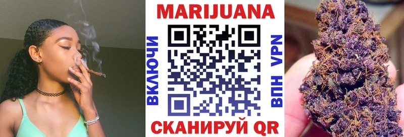 Конопля индика Сунжа